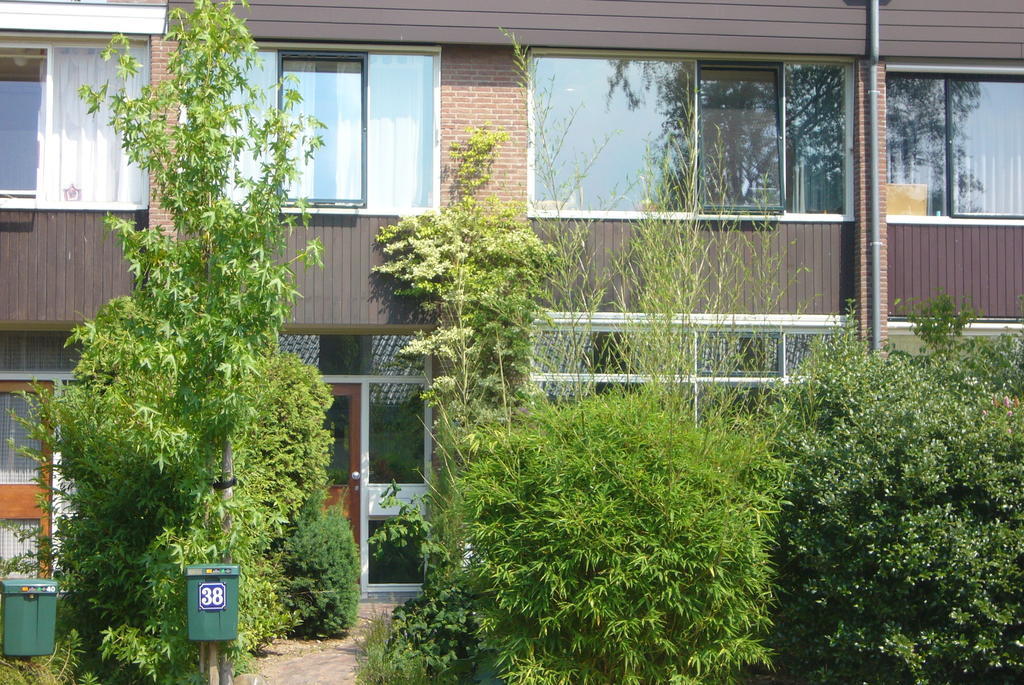 Heijendaal